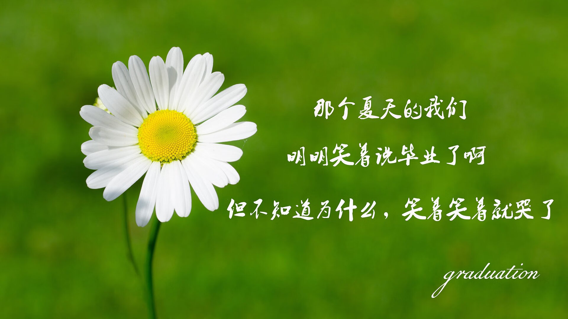 CBA球员技艺精湛，为球迷带来赛场精彩，cba篮球球员
