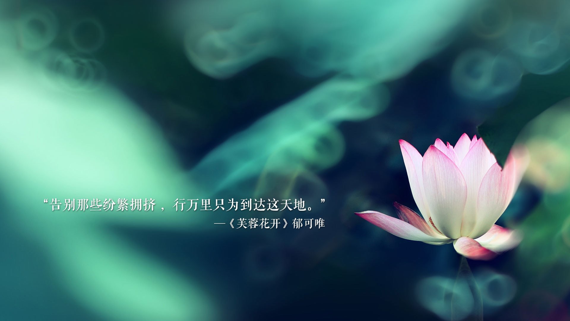 伯恩茅斯锋线犀利，樱桃军团奋力保级，英国伯恩茅斯