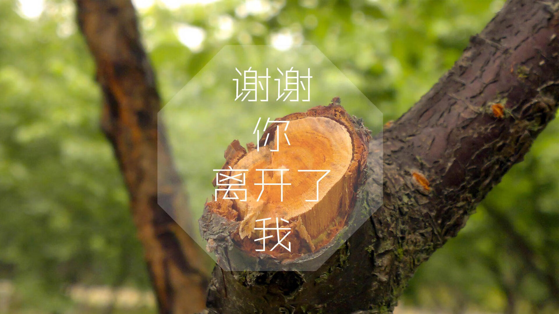 九游正版入口-四川金强比赛经验丰富，表现稳定，四川金强赛事中心最新消息