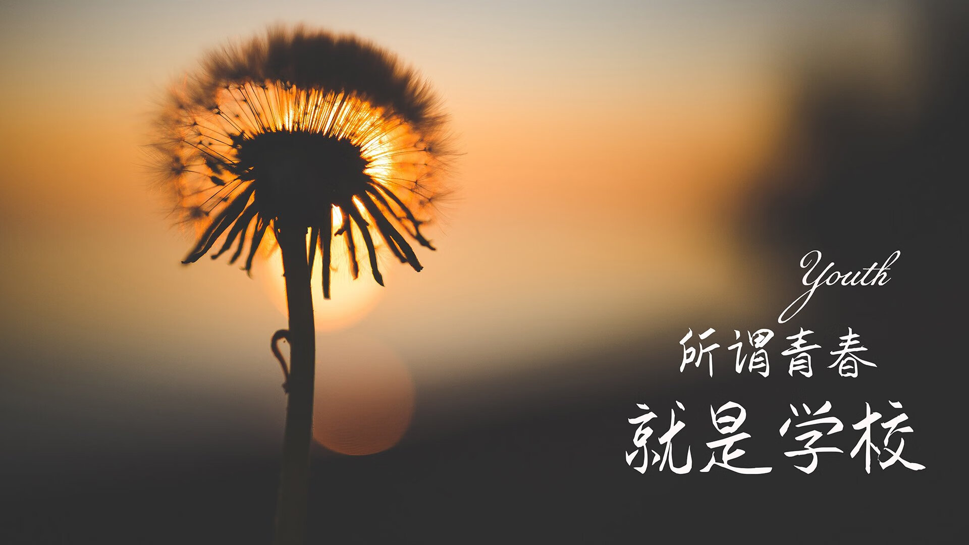 篮球运动员技术创新研究，篮球运动员技术创新研究方向
