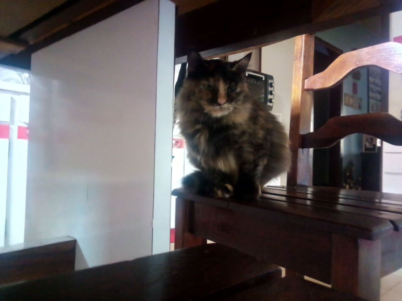 NBA球队替补席表现数据统计，nba替补席规定