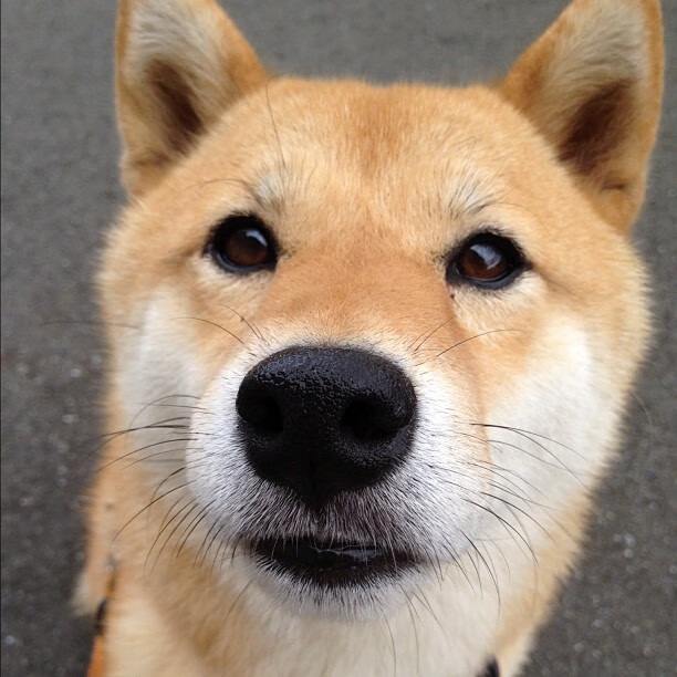 青训政策：推动偏远地区足球发展的新机遇，足球青训发展方案