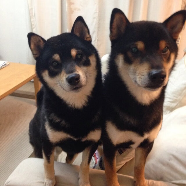 “2025世界运动会沙滩手球赛事，精彩持续升温”