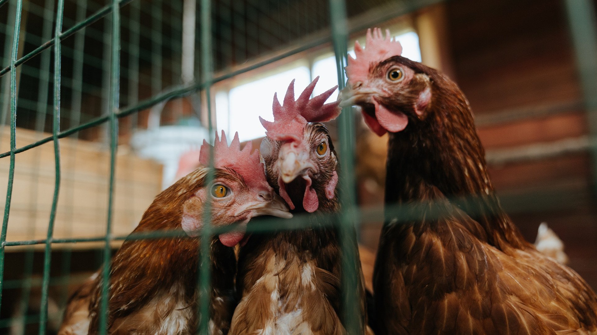 五大联赛哪些球队最依赖个人能力解决问题,5大联赛球队