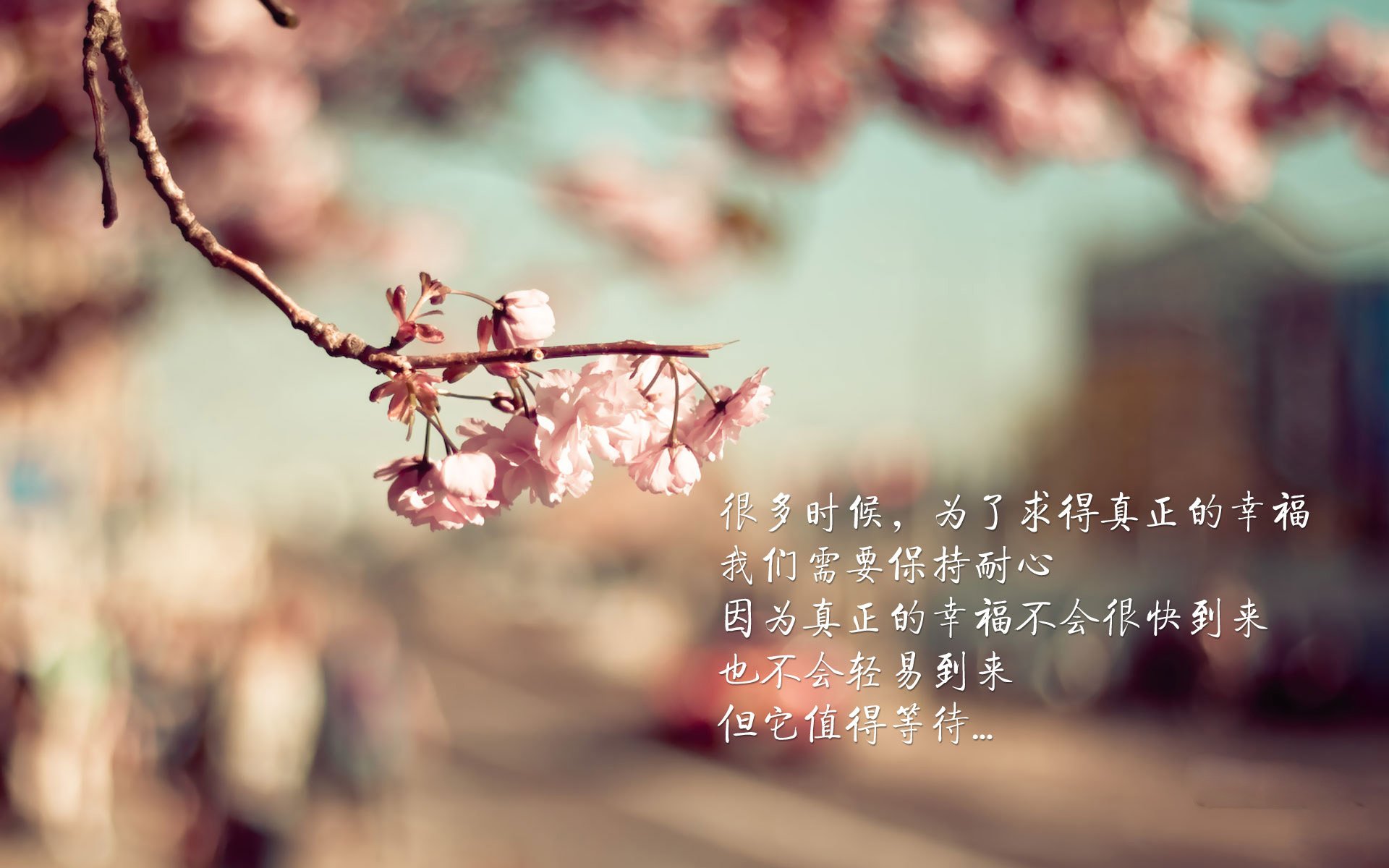 -大学生乒乓球锦标赛上演巅峰对决，大学生乒乓球联赛冠军