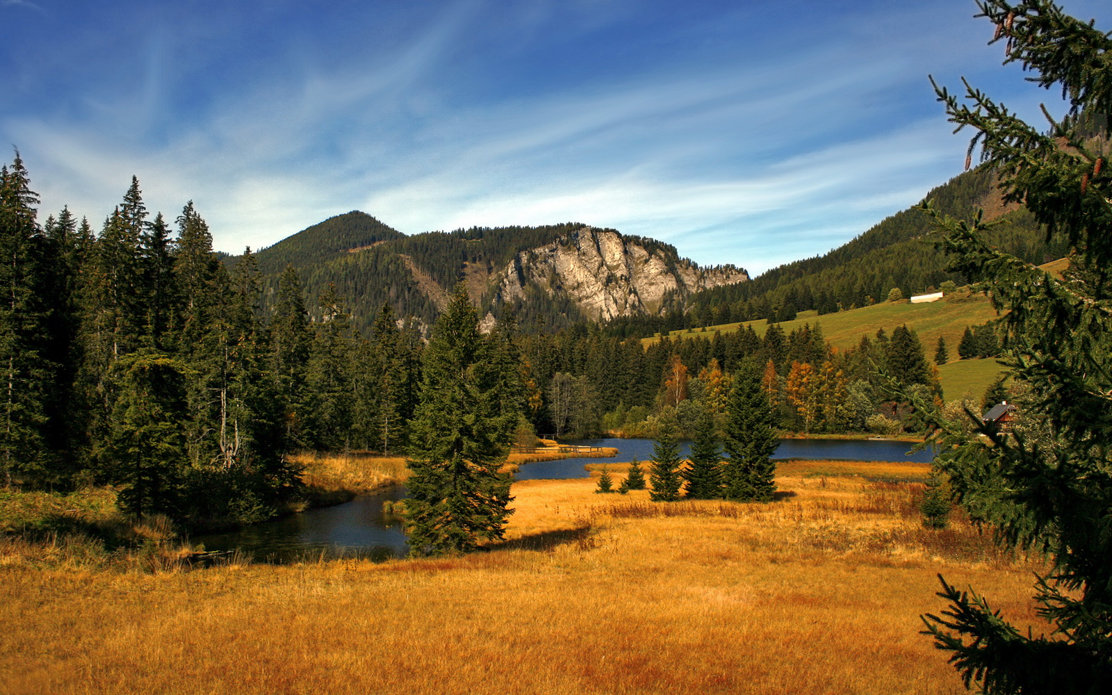 -女子200蝶两强之争，谁掌控节奏？，女子200米蝶泳百度百科